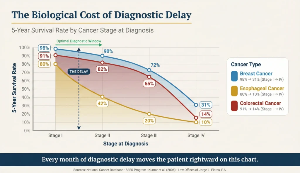Infographic showing how cancer survival rates collapse as diagnosis is delayed; breast cancer drops from 98 percent at Stage I to 31 percent at Stage IV, esophageal cancer drops from 65 to 80 percent at Stage I to 10 to 20 percent at Stage III, and colorectal cancer survival decreases measurably with delays exceeding 30 days; Law Offices of Jorge L. Flores, P.A.